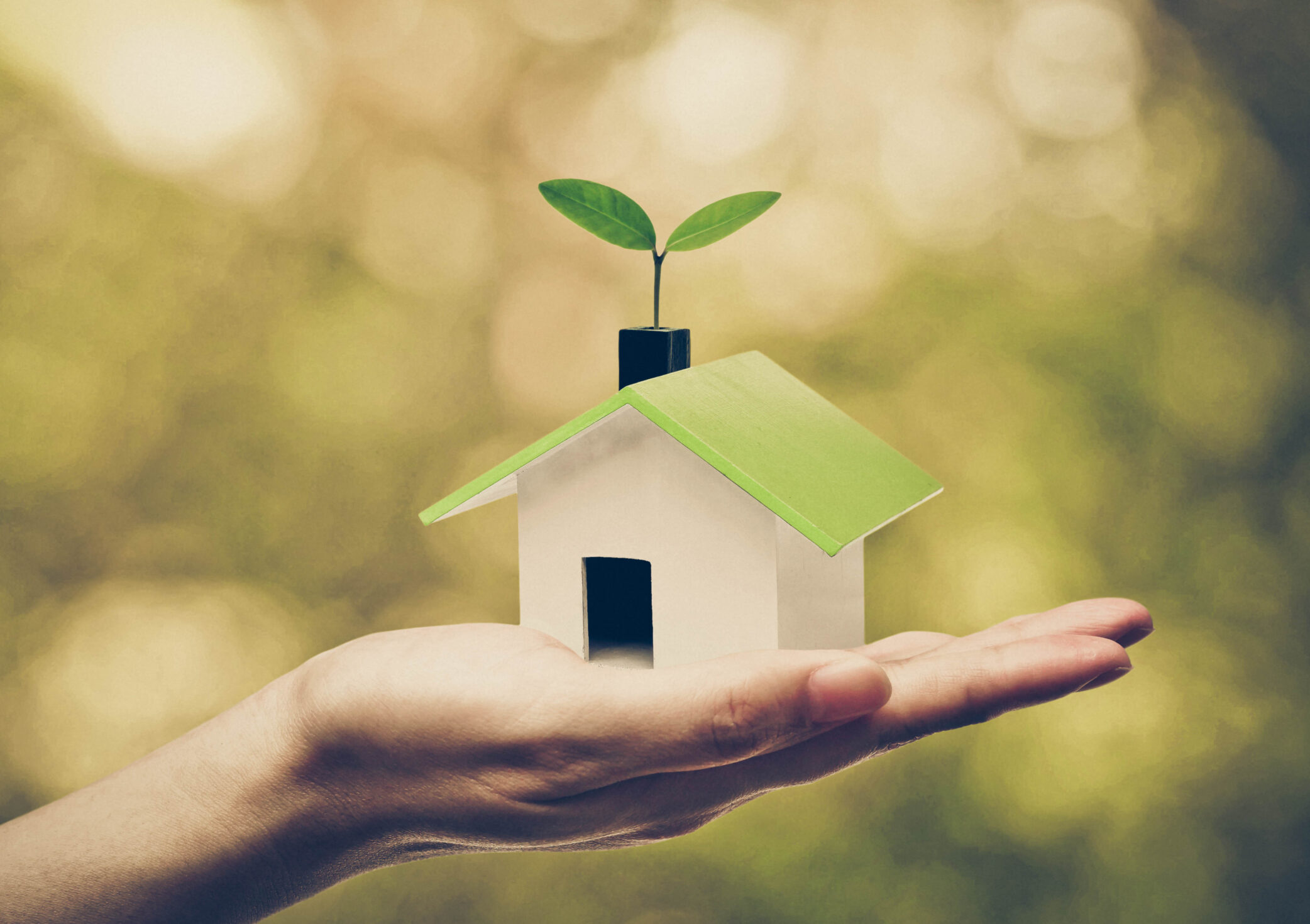 Hand holding a sustainable roof