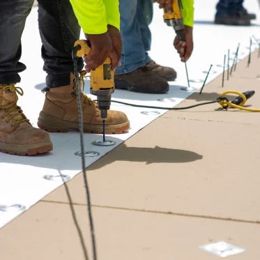 Untitled design (13)